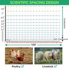 Practical Poultry Netting Electric Fence- 47 5 h X168 l For Chickens ducks geese