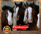 Budweiser - Clydesdales - Rare - King Of Beers - Metal Sign 11 X 14