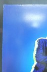 The Wedding Singer Musical Comedy Theater Broadway Window Card Poster 14  X 22 
