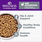 1 Pack Grain Free Dry Cat Food Senior Recipe Chicken Hip Joint Health 5lb Kibble