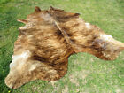 New Large Brindle Caramel Cowhide Rug Natural Cowhides Cow Hide Skin 6x6 Feet Rc