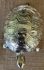 Vintage Delli Silverplate Turtle Hinged Snuff Box  705  Unique Item