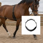 Horse Training Girth Strap Adjustable Girth Strap With Metal Rings