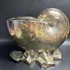 Vtg Mappin   Webb Shelll Shell Spoon Warmer Footed Deco Piece Wheat Etching