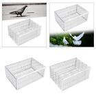 Pigeon Trap Cage 40x30x26cm Bird Trap Cage For Meat Pigeons Chicken Garages