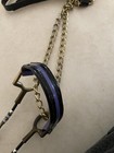 Fancy Mini Miniature Purple Gold Silver Horse Show Halter   Lead arabian Type