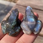 4x Natural Labradorite Quartz Crystal Stone Frog Carved Healing Reiki Figurine