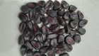 Suntava Purple Corn Non-gmo 2 Pounds-whole Or Cracked-free Shipping