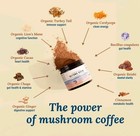  1  Pack Beyond Brew Mushroom Coffee 7-in-1 Energy focus Gut