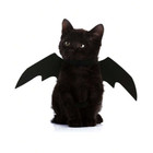 Pet Cat Bat Wings Christmas Dog Bat Costume Bat Wings For Puppy Kitten Cosplay