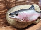 Vintage Travis The Singing Trout Gemmy Motion Activated 1999 Fish Body