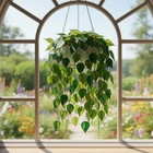 Pothos Plant Acrylic Suncatcher  Faux Stained Glass Window Hanging For Plant Lov