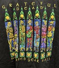 Vintage Grateful Dead 100 Year Hall T-shirt Size 2xl And Matching Cd