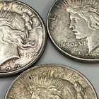 1922 P D Peace Silver Dollar Lot Of 3 Coins