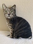 Realistic Tapestry Tabby Cat Pillow