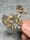Rare Sericho Pallasite Meteorite Slice From Kenya Collector Specimen          Seller