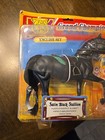 Grand Champions Stallion Horse English Set Marchon Satin Black Stallion
