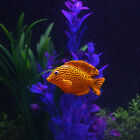 4pcs Aquarium Fish Tank Luminous Silicone Artificial Fake Fish Landscape Orn L2s
