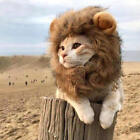 Lion Mane For Cats  Funny Halloween Costume For Cats  Snoods For Cats