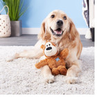 Kong Wild Knots Bear Xl Light Brown Squeaky Plush Dog Toy 