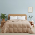 Super Cozy Silent Lightweight Duvet Insert Oversize Down Feather Comforter