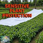 Pakglobal Xtra Heavy  Duty Frost Cloth 4 Oz     Protects Plants From Freeze  Frost