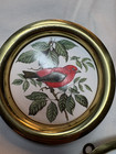 3 Small Round Bird Pictures Brass Framed Ceramic Tile Robin Blue Jay 4 5    Round