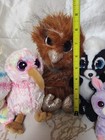 Ty Beanie Boos Plush Lot Bundle - Mixed Collection Big Eyes Stuffed Animals Rare