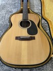Takamine F-307 Acoustic Guitar Lawsuit Era With Case Mij