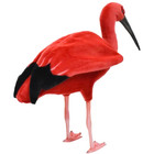 Hansa Scarlet Ibis Plush Toy 54cm Realistic Bird Stuffed Animal Bh8135