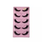 5 Pairs Cat Eye False Eyelashes     Faux Mink Elongated Wispy Lashes