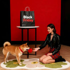 Soft Shaggy Area Rug     Large Plush Carpet For Living Room   Bedroom  Non-slip