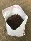 Orchiata Bark Power Plus Large Orchid   Pine Bark Terrarium