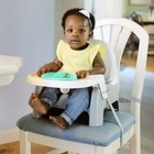 Summer Deluxe Learn-to-dine Feeding Seat
