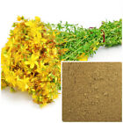 St  John s Wort Powder  Organic  Soap Making Supplies  Herbal Extracts 