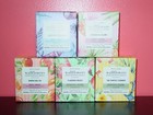 Bath   Body Works Wallflowers Home Fragrance Refills  2-pack   Choose Scent  new
