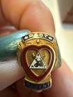 Vintage F m c  Past Regent Pin 1 10 10k Gf Enamel Fraternal Chain