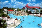  Vtg Continental Postcard Walt Disney World Orlando Fl Postcard Collector