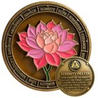 8 Year Sobriety Coin  Serenity Prayer Medallion  Aa Recovery Chip Token