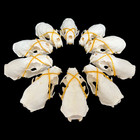 10 Pcs Defective Real Mink Skulls Animal Bones Specimens Taxidermy Special Gift