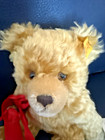 Steiff 028113 Mohair Teddy Bear Teddybar 21 Liebeserklarung New With All Tags