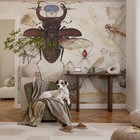 Modern Peel And Stick Wall Mural Insects Butterflies Spider Classical Symmetry