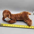 Animal Alley Dachshund Weiner Dog Plush 13  Brown Vintage Toys R Us Puppy 2000