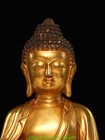 12  Old Tibet Buddhism Bronze Gilt Sakyamuni Shakyamuni Amitabha Buddha Statue