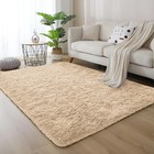 Shaggy Fluffy Area Rug Anti Skid Living Room Bedroom Carpet Ultra Soft Floor Mat