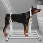 Modern Adjustable Dog Breeding Stand For Large Dogs Silver   Wrench 80 72 90cm