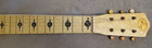 Vintage Kay Pearloid Covered Lap Steel Early 1950s Blade Pickup  Hawaiian Motif