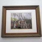 The Ahwahnee Hotel Framed Photograph-yosemite 
