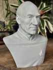 Star Trek Tng Jean-luc Picard 3d Printed Bust     6 5    Display Figurine 