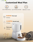 Automatic Cat Feeder And Water Dispenser Fw1  3l Cat Food Dispenser With Locking